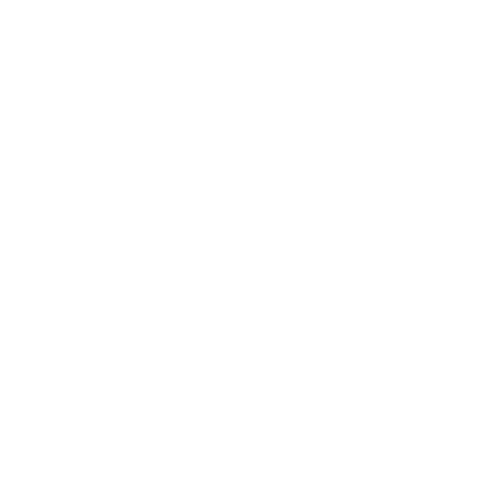 Payment and Invoice